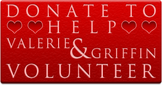 Donate To Valerie and Griffin's Volunteer Budget