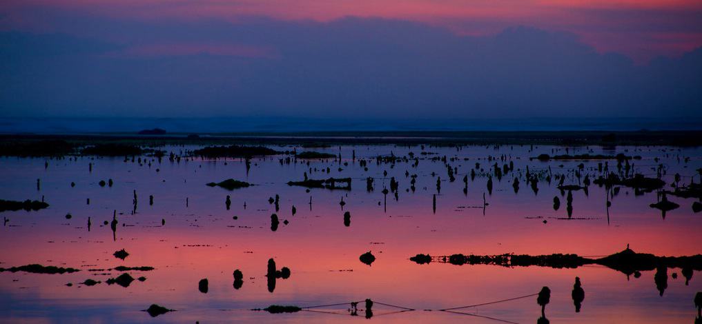 Travel Photo Of The Week: Sunset Over The Seaweed Nets – Bali, Indonesia